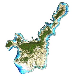 石垣島衛星画像